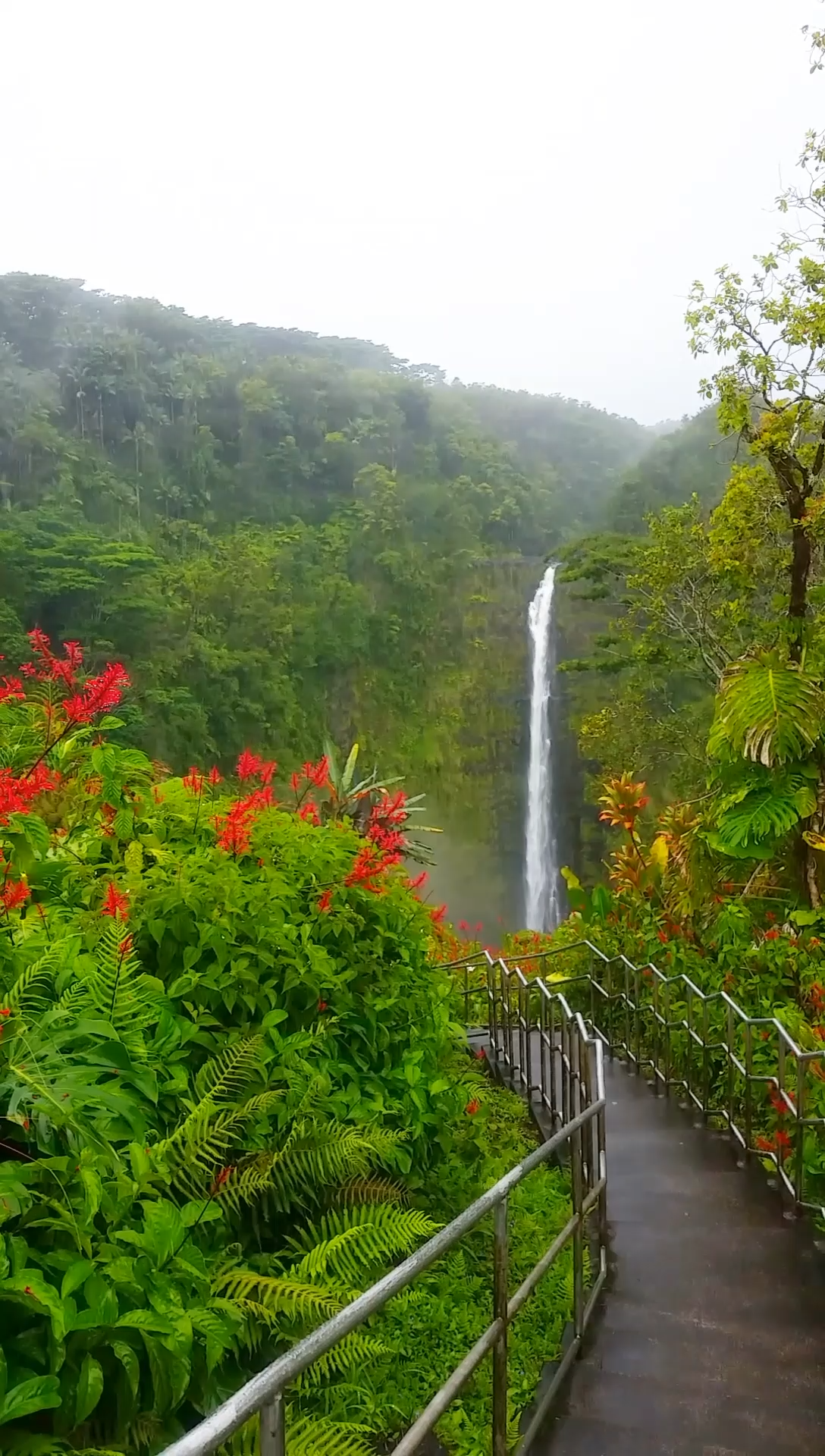 Akaka Falls loop trail in Hawaii - Akaka Falls loop trail in Hawaii -   16 beauty Photography wanderlust ideas