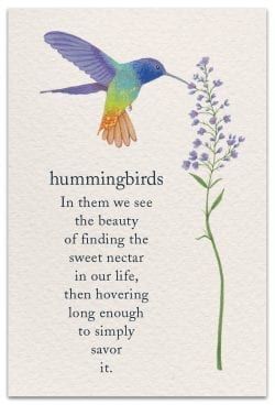 Hummingbirds | Birthday Card | cardthartic.com - Hummingbirds | Birthday Card | cardthartic.com -   16 beauty Quotes flowers ideas