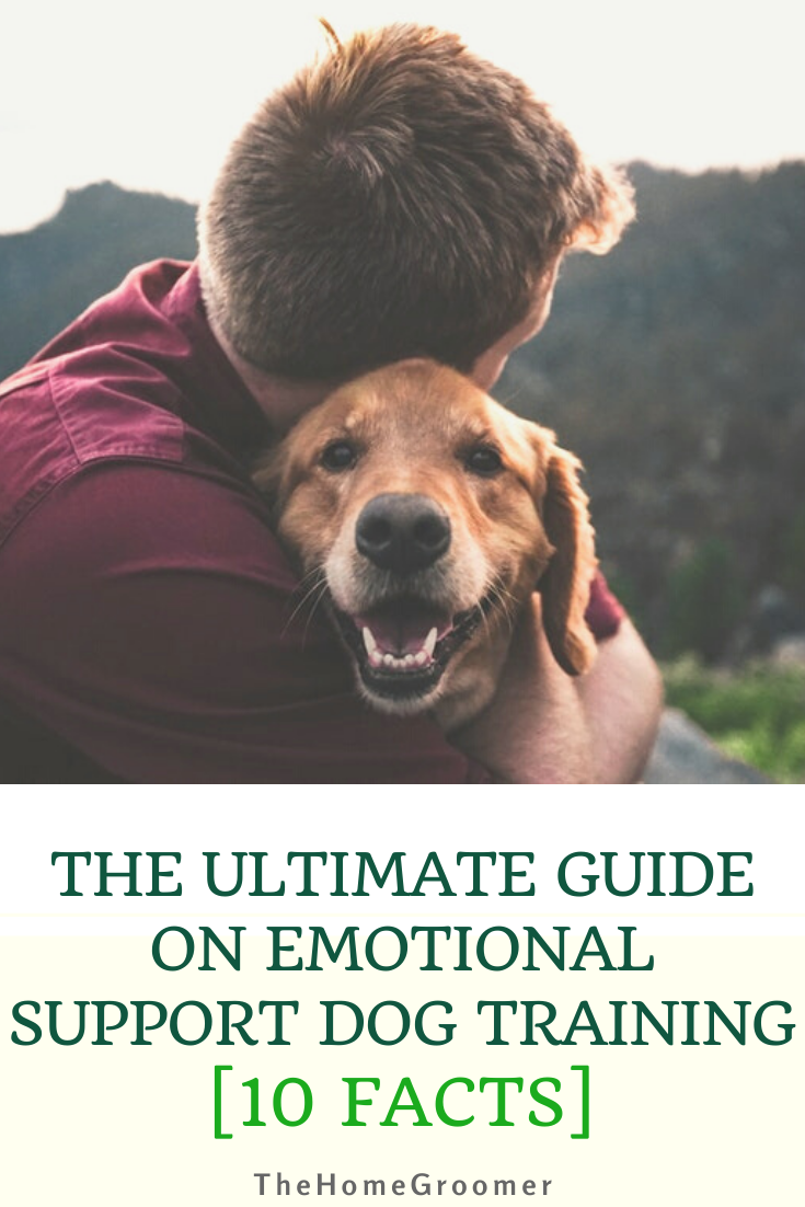 The Ultimate Guide on Emotional Support Dog Training [10 Facts] - The Ultimate Guide on Emotional Support Dog Training [10 Facts] -   17 diy Dog training ideas