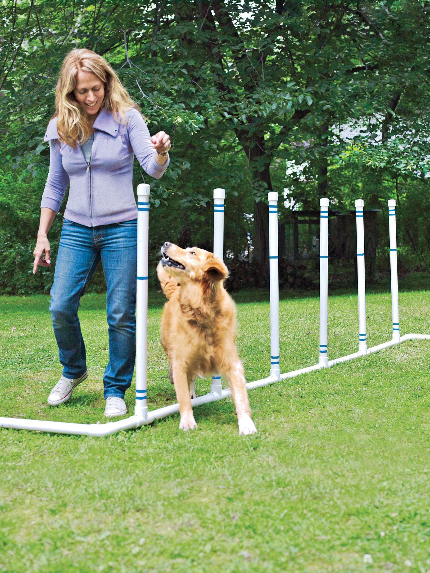 How to Build a DIY Dog Agility Course - How to Build a DIY Dog Agility Course -   17 diy Dog training ideas