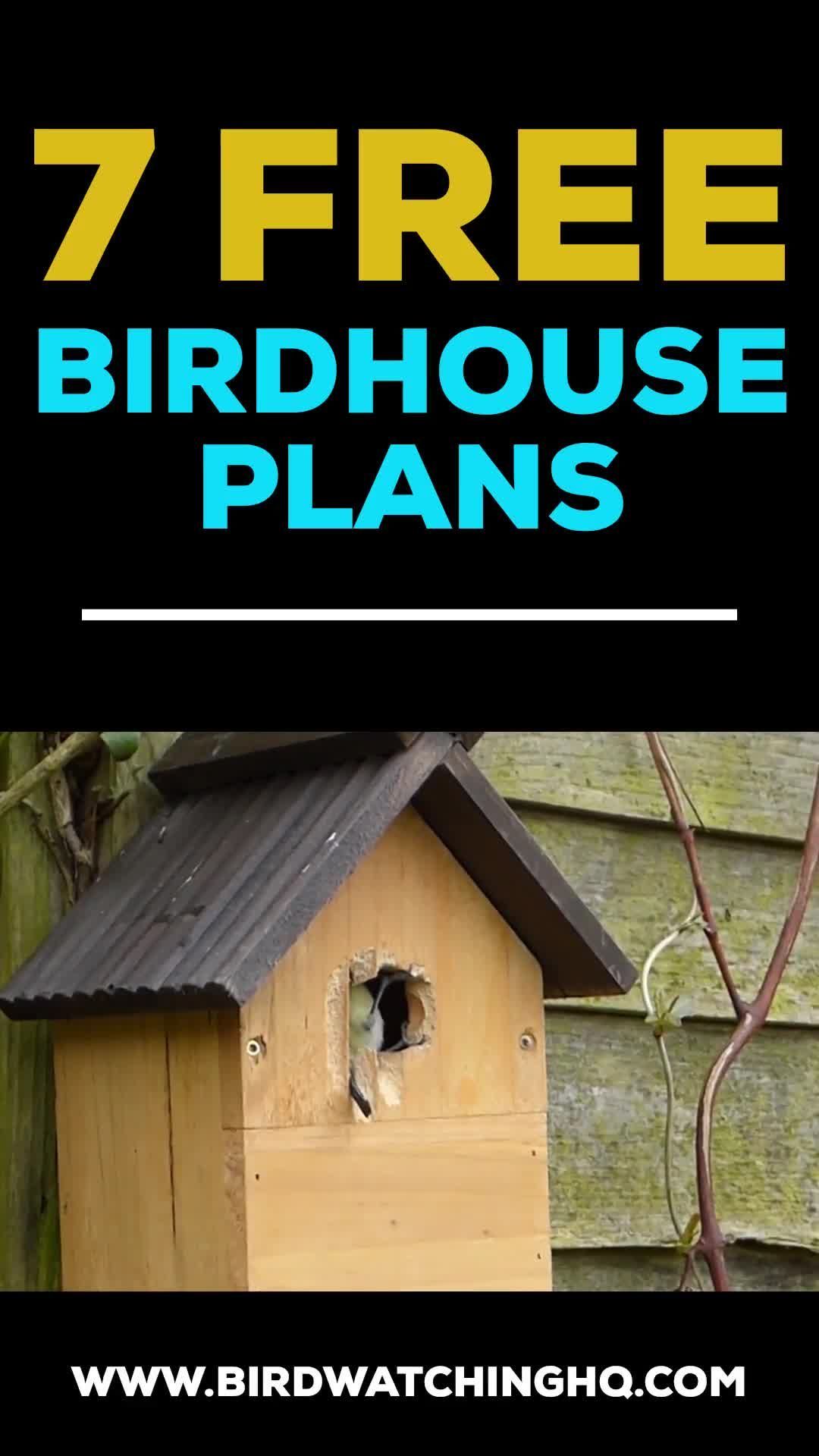 Bluebird Houses: The Definitive Guide (Includes 7 FREE Plans!) - Bird Watching HQ - Bluebird Houses: The Definitive Guide (Includes 7 FREE Plans!) - Bird Watching HQ -   17 diy House out of boxes ideas
