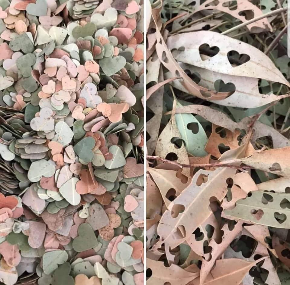 This Woman's Hack for Making Homemade Confetti From Leaves Is Brilliant and Beautiful - This Woman's Hack for Making Homemade Confetti From Leaves Is Brilliant and Beautiful -   diy Wedding confetti
