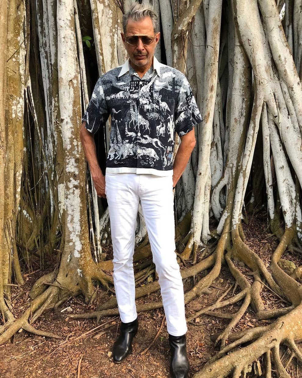 17 Pictures Of Jeff Goldblum As The Printed-Shirt Daddy Of Your Dreams - 17 Pictures Of Jeff Goldblum As The Printed-Shirt Daddy Of Your Dreams -   17 mens style Icons ideas