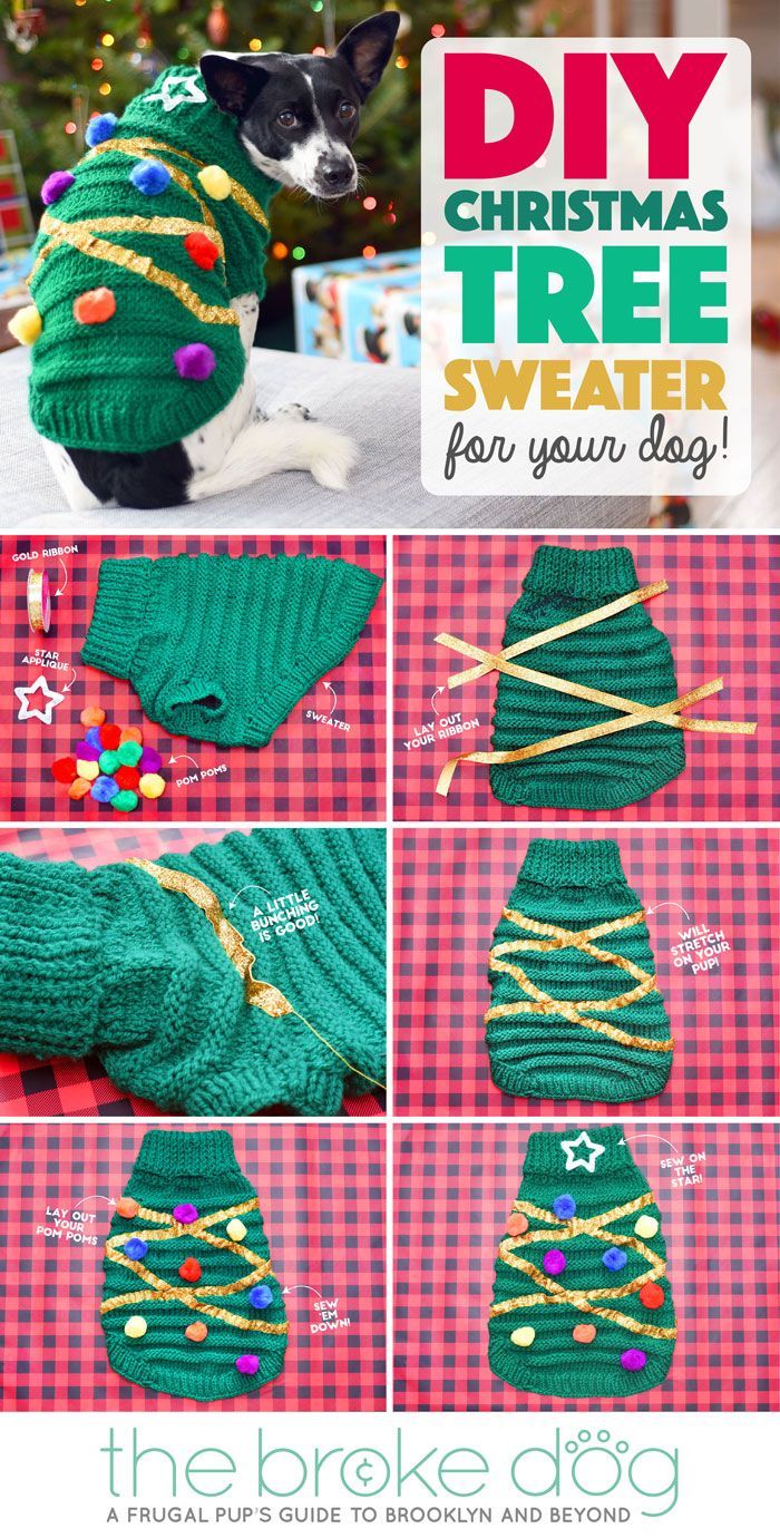 DIY Christmas Tree Sweater For Your Dog - The Broke Dog - DIY Christmas Tree Sweater For Your Dog - The Broke Dog -   18 diy Dog christmas ideas