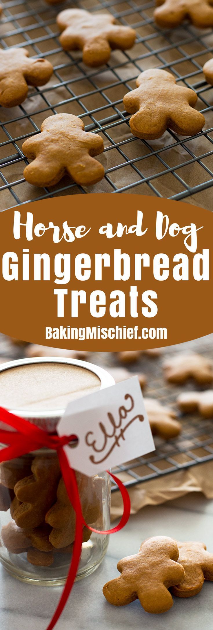 Easy Horse and Dog Gingerbread Treats - Baking Mischief - Easy Horse and Dog Gingerbread Treats - Baking Mischief -   18 diy Dog christmas ideas