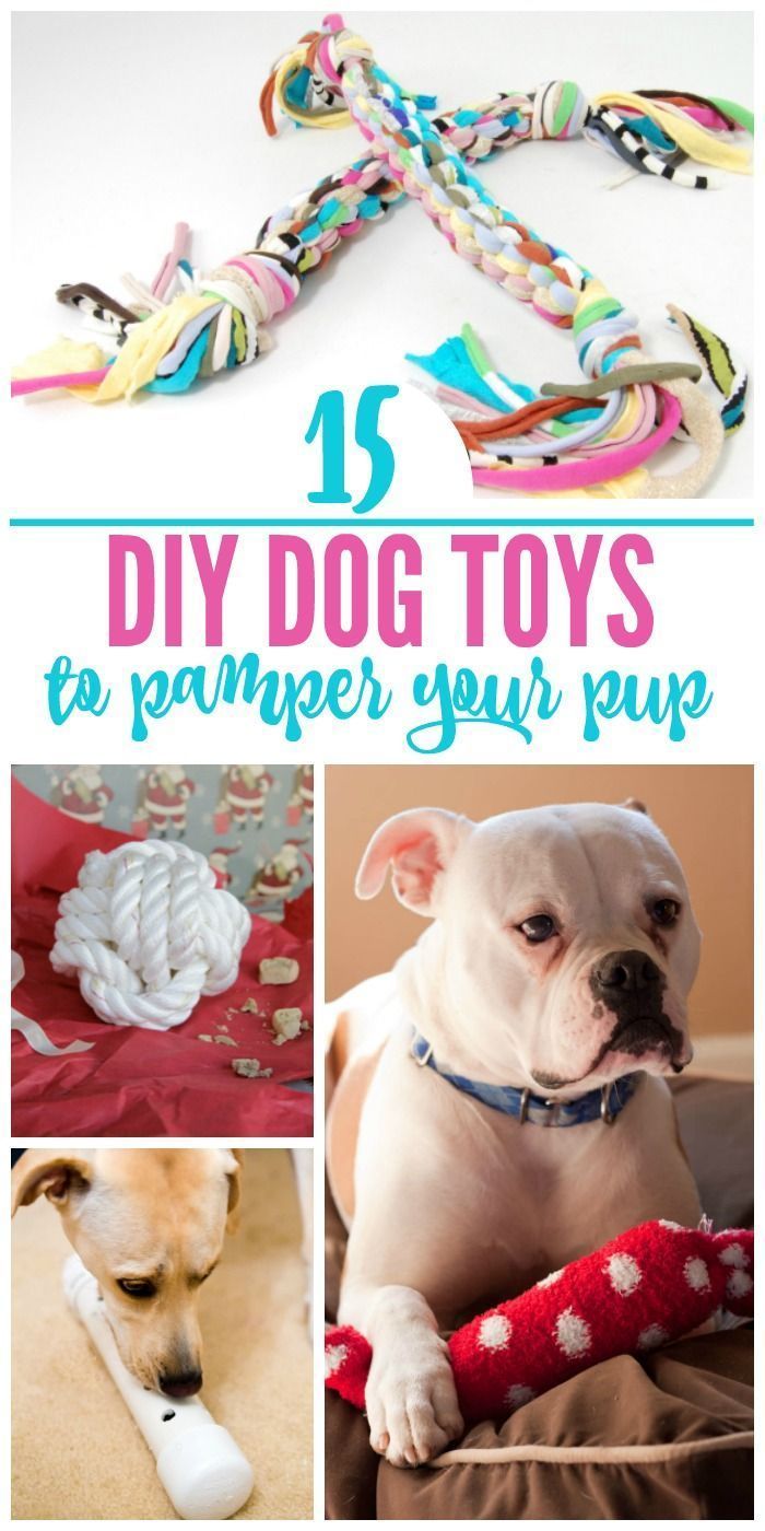 15 Pawesome DIY Dog Toys for Your Pup - 15 Pawesome DIY Dog Toys for Your Pup -   18 diy Dog christmas ideas