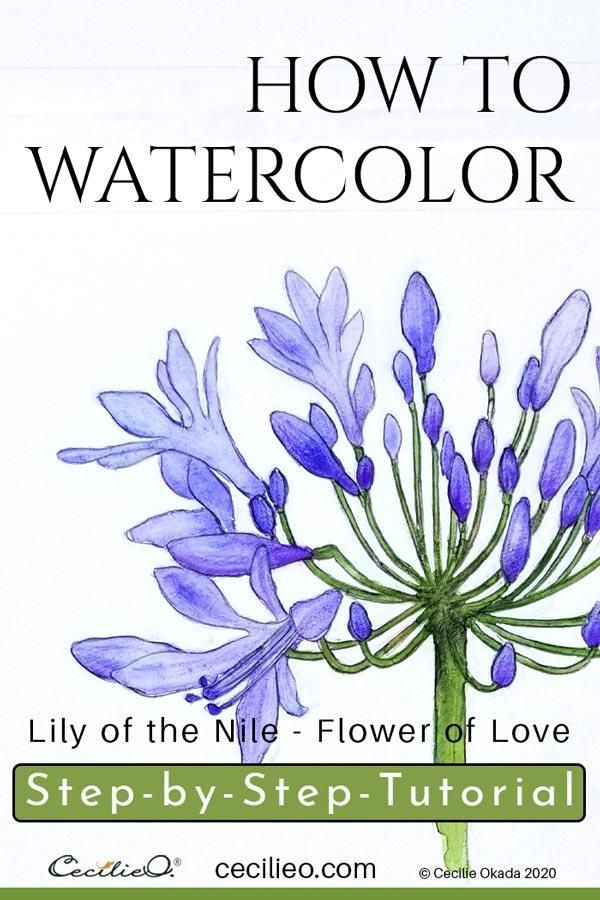 How to Watercolor Lily of the Nile, the Flower of Love - How to Watercolor Lily of the Nile, the Flower of Love -   19 beauty Art watercolor ideas