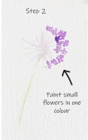 Allium Floral Watercolor Tutorial - Allium Floral Watercolor Tutorial -   19 beauty Art watercolor ideas