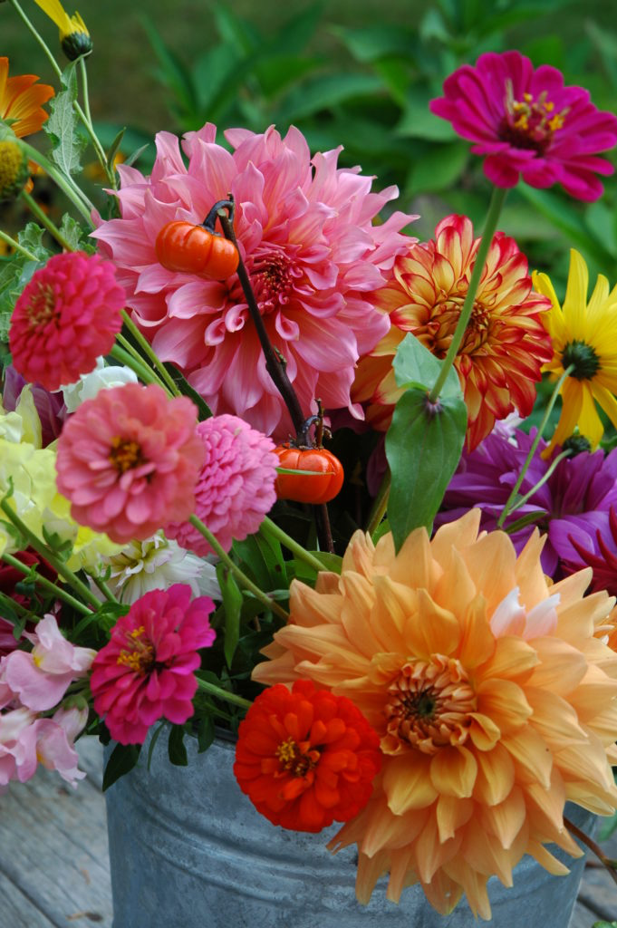 Start Your Backyard Flower Farm - Homestead Hustle - Start Your Backyard Flower Farm - Homestead Hustle -   19 beauty Flowers landscapes ideas