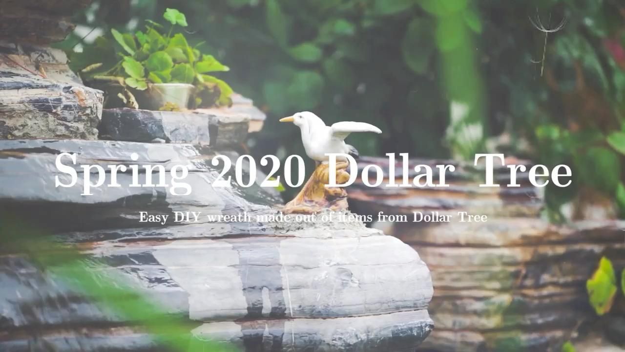 Dollar Tree DIY - Dollar Tree DIY -   24 diy Dollar Tree videos ideas