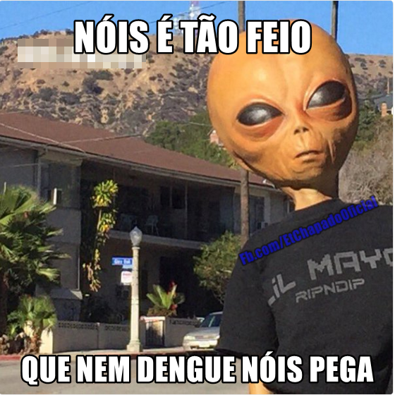 ? NOIS - ? NOIS -   8 fitness Memes brasil ideas