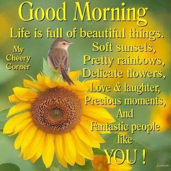 Life is full of beautiful things, good morning - Life is full of beautiful things, good morning -   9 good morning beauty Images ideas