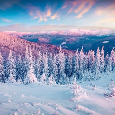 'Fantastic Winter Sunrise in Carpathian Mountains with Snow Cowered Trees. Colorful Outdoor Scene, H' Photographic Print - | Art.com - 'Fantastic Winter Sunrise in Carpathian Mountains with Snow Cowered Trees. Colorful Outdoor Scene, H' Photographic Print - | Art.com -   13 beauty Background winter ideas