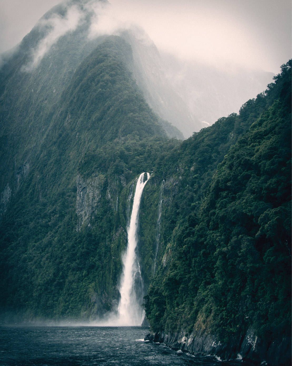 New Zealand Photography Rain Forest Photo Foggy Forest | Etsy - New Zealand Photography Rain Forest Photo Foggy Forest | Etsy -   13 beauty Photography rain ideas