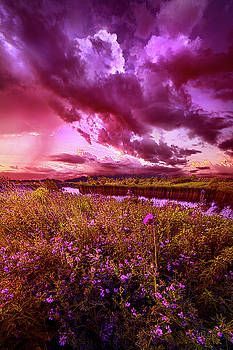 With A Little Help by Phil Koch - With A Little Help by Phil Koch -   14 beauty Pictures of life ideas