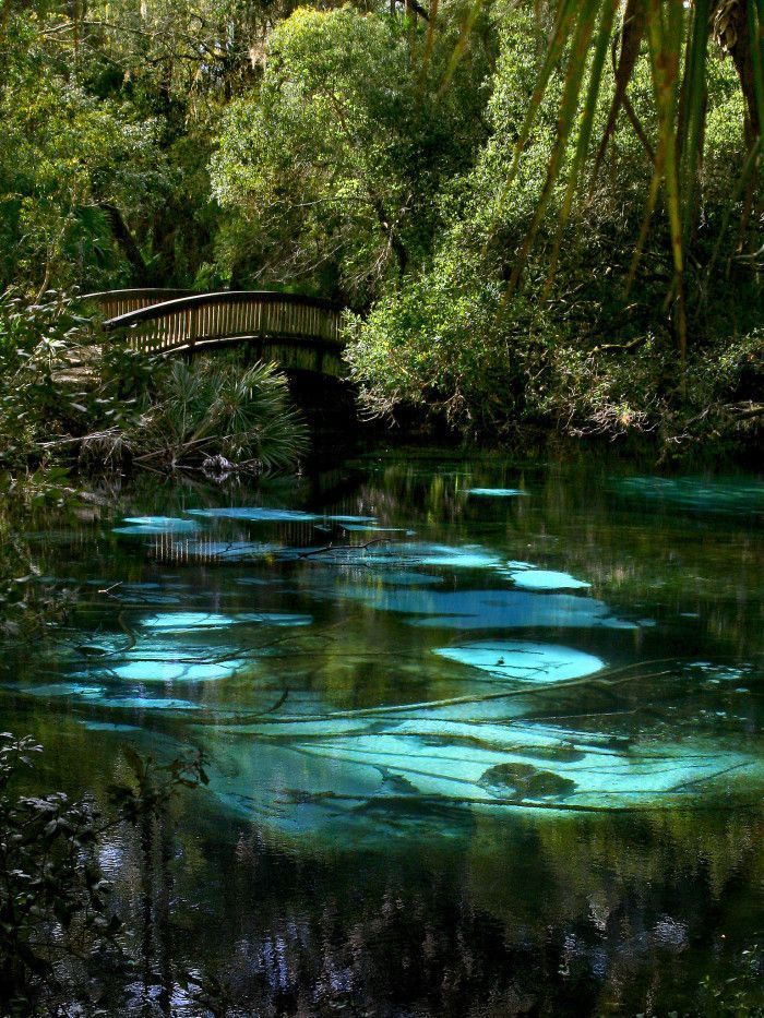 17 Fascinating Spots In Florida That Are Straight Out Of A Fairy Tale - 17 Fascinating Spots In Florida That Are Straight Out Of A Fairy Tale -   14 beauty Pictures of life ideas