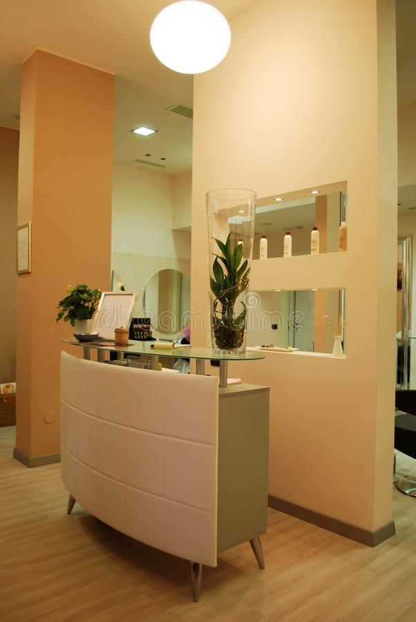 14 beauty Salon reception area ideas
