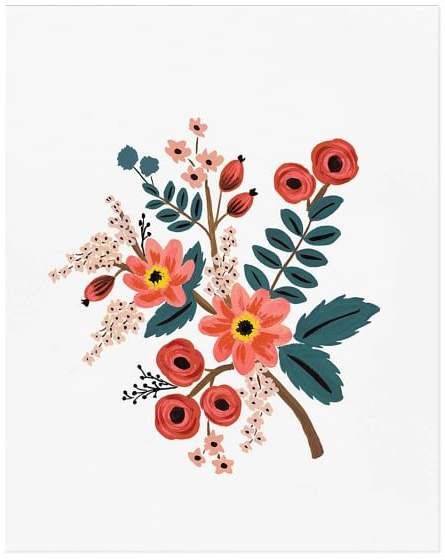 Coral Botanical by Rifle Paper Co. - Coral Botanical by Rifle Paper Co. -   15 beauty Flowers illustration ideas