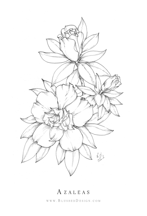 Inktober Flower Drawings 2019 — Blushed Design - Inktober Flower Drawings 2019 — Blushed Design -   15 beauty Flowers illustration ideas