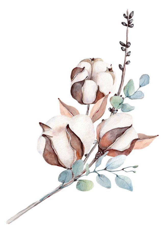 16 beauty Flowers illustration ideas