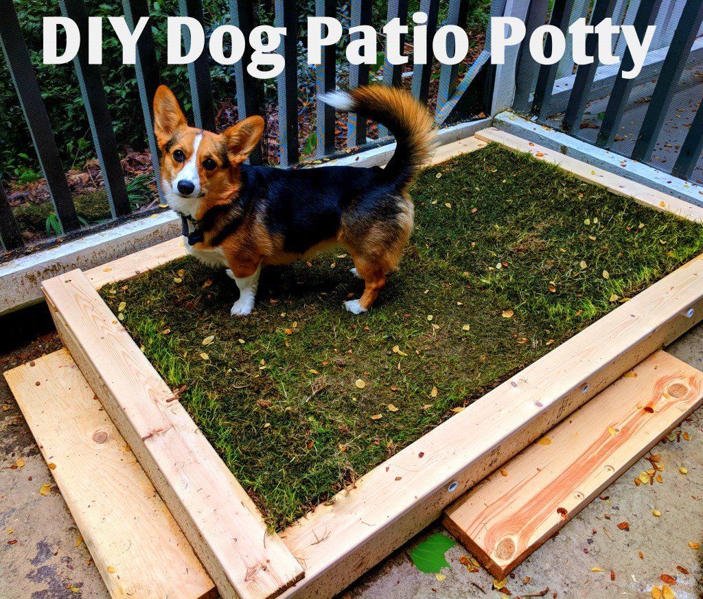 How to Build a DIY Patio Potty for Your Dog - How to Build a DIY Patio Potty for Your Dog -   16 diy Apartment patio ideas