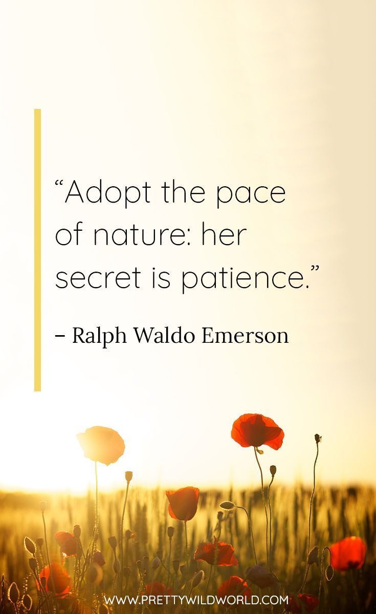 Best Nature Quotes: Top 35 Quotes About Nature and Life - Best Nature Quotes: Top 35 Quotes About Nature and Life -   16 natural beauty Quotes ideas