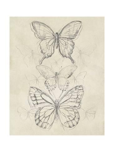 'Vintage Butterfly Sketch II' Art Print - June Erica Vess | Art.com - 'Vintage Butterfly Sketch II' Art Print - June Erica Vess | Art.com -   17 beauty Art sketches ideas