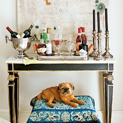 Cute Overload! Adorable Pups in Pretty Rooms - Cute Overload! Adorable Pups in Pretty Rooms -   17 beauty Bar set up ideas