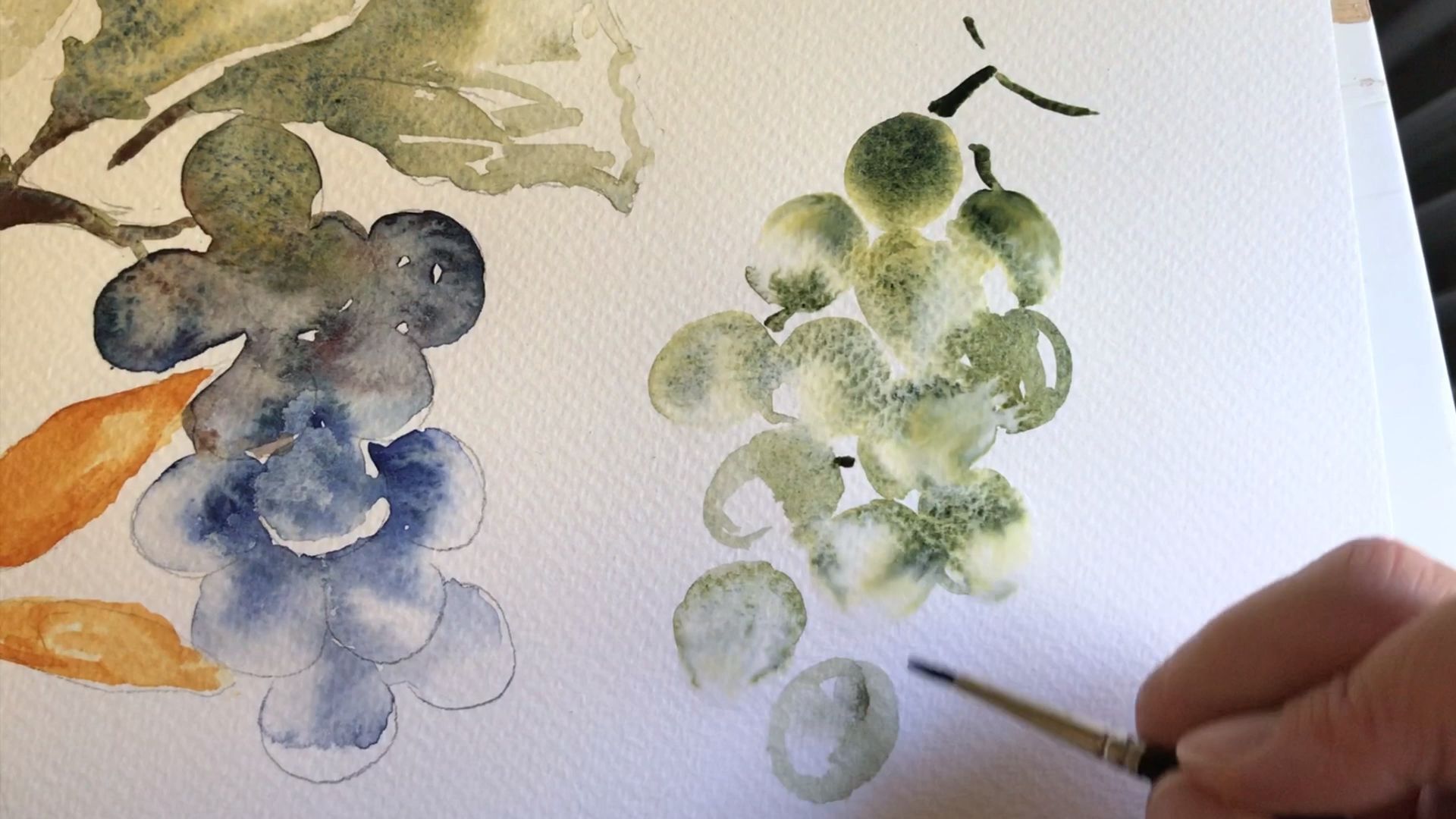 Watercolour grapes - Watercolour grapes -   17 beauty Day illustration ideas