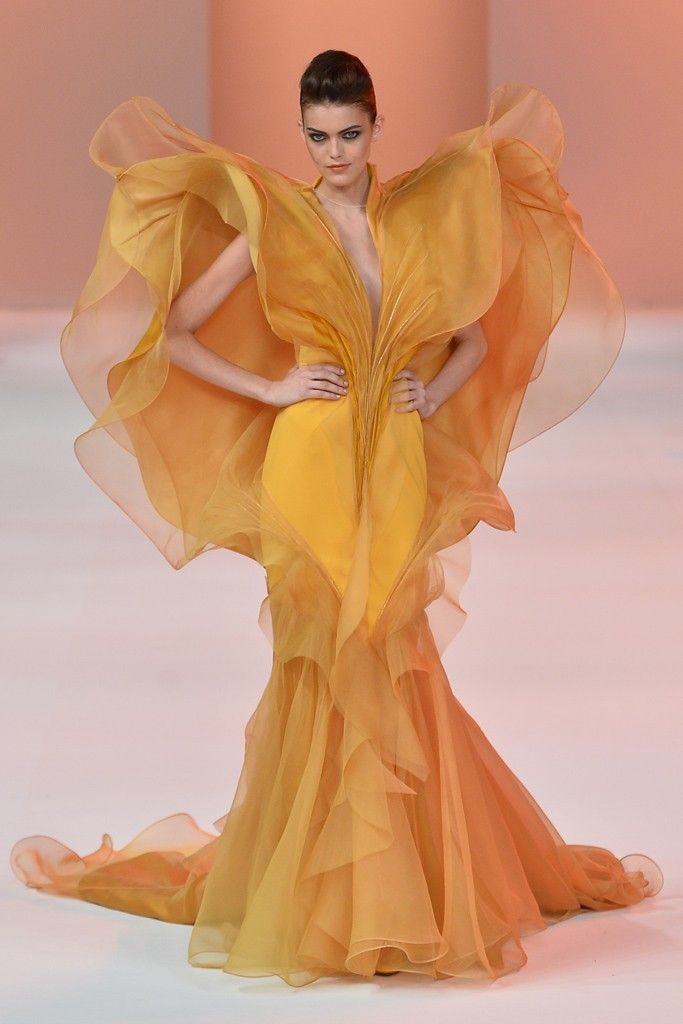St?phane Rolland Couture Spring 2014 - St?phane Rolland Couture Spring 2014 -   17 beauty Images fashion ideas