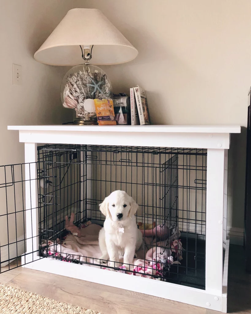 The Final Product - The Final Product -   17 diy Dog area ideas