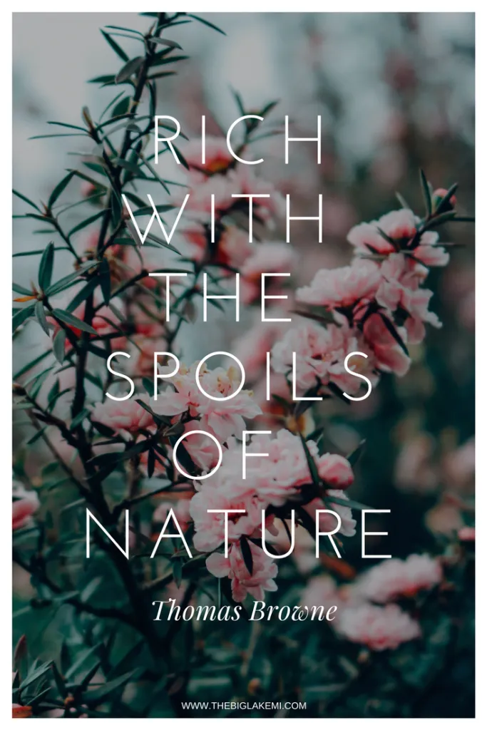 15 Beautiful Quotes about Nature and Wilderness to inspire you - 15 Beautiful Quotes about Nature and Wilderness to inspire you -   17 natural beauty Quotes ideas