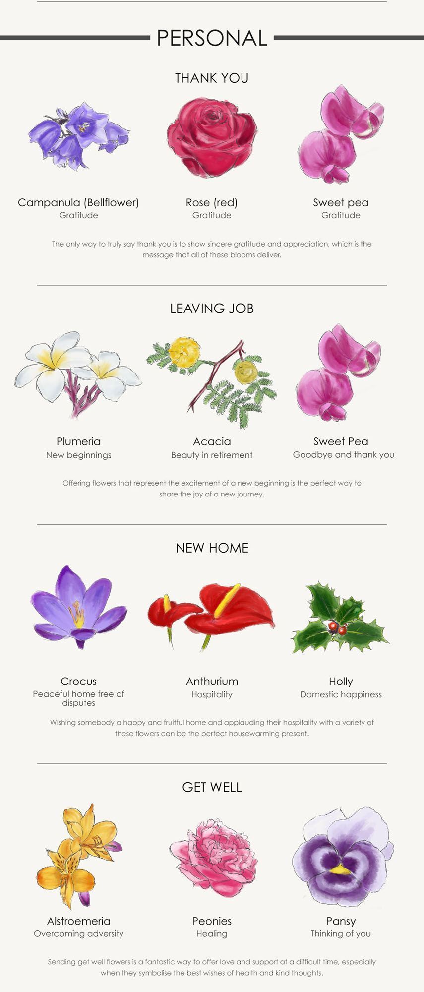 A Flower For Every Occasion: Your Complete Guide - A Flower For Every Occasion: Your Complete Guide -   18 beauty Design flower ideas