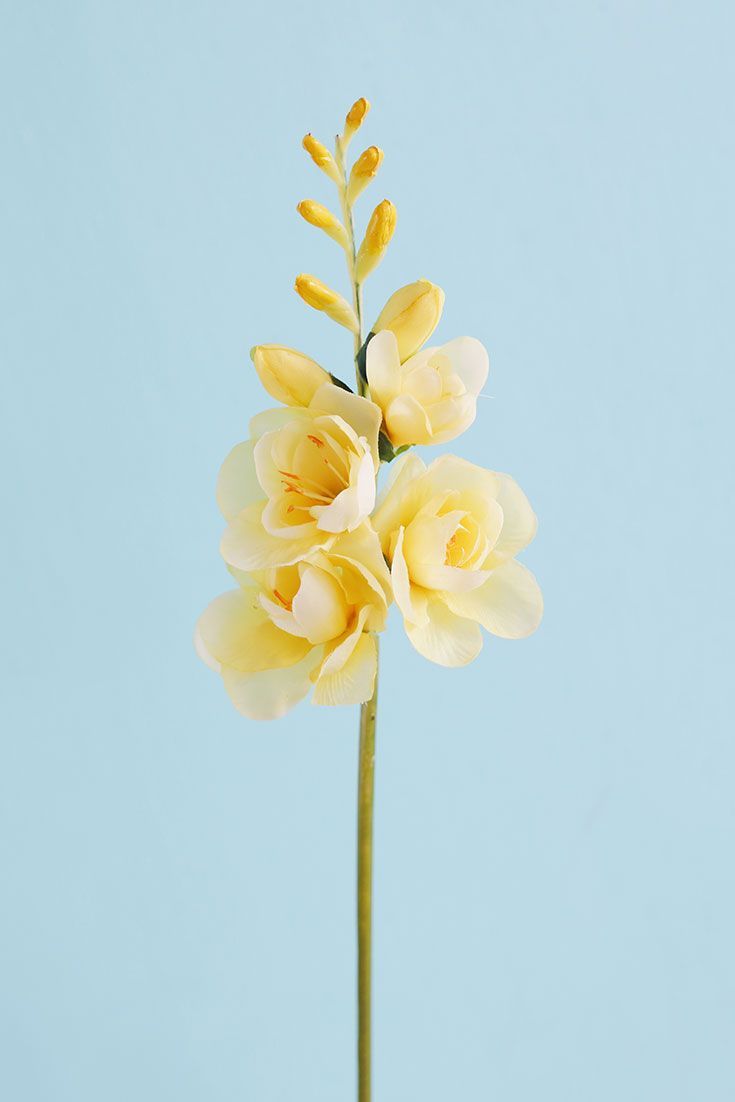 Yellow Silk Spring Flowers - Yellow Silk Spring Flowers -   18 beauty Design flower ideas