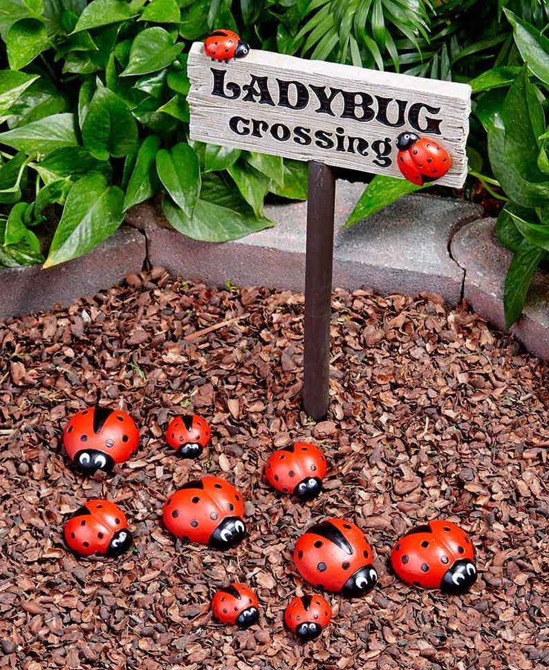 Ladybug Painted Rock Set - Ladybug Painted Rock Set -   18 diy Garden decoration ideas
