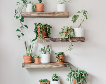 Window Plant Shelf | Hanging Shelf | Plant Shelves | Plant Stand - Window Plant Shelf | Hanging Shelf | Plant Shelves | Plant Stand -   18 diy Shelves ideas