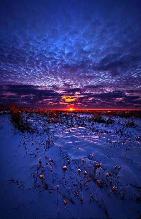 All The Dreams I Used To Know by Phil Koch - All The Dreams I Used To Know by Phil Koch -   19 beauty Images dreams ideas