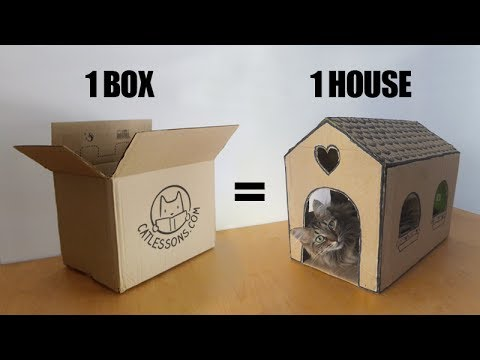 Transform a Simple Box into a Cat House - Transform a Simple Box into a Cat House -   19 diy Box house ideas