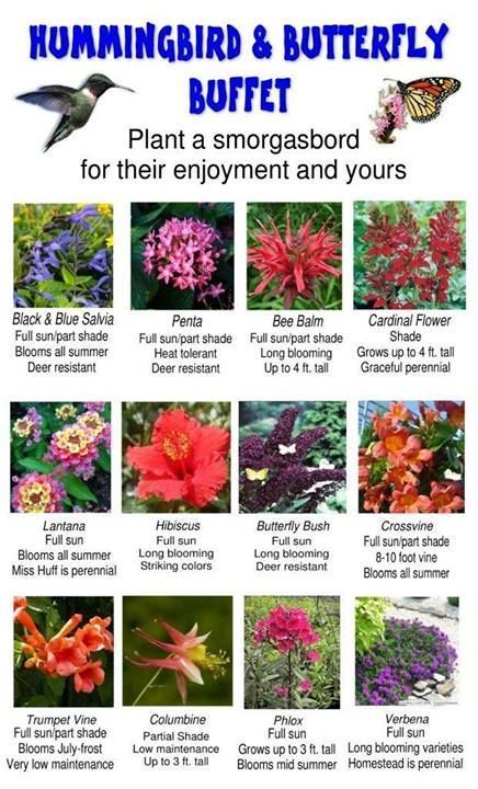 19 diy Garden flowers ideas