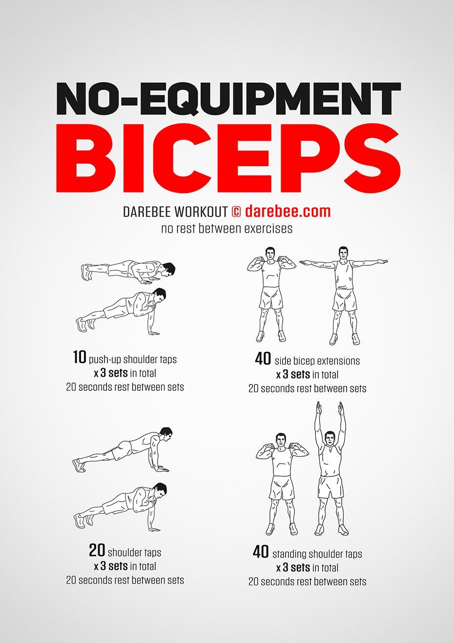 No-Equipment Biceps Workout - No-Equipment Biceps Workout -   19 fitness Equipment workout ideas