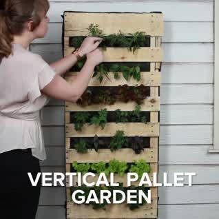 Vertical Fruit And Veggie Pallet Garden - Vertical Fruit And Veggie Pallet Garden -   21 diy Videos garden ideas