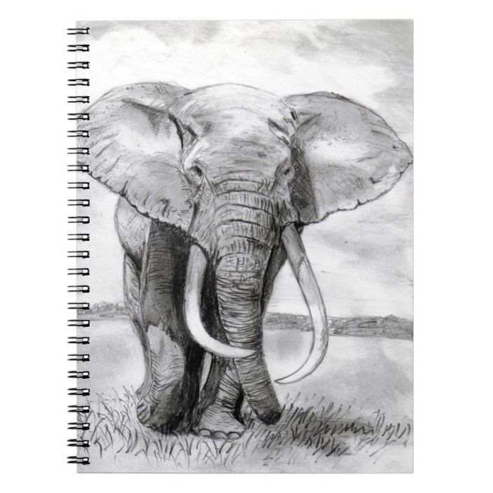 African elephant drawing in pencil design notebook - African elephant drawing in pencil design notebook -   13 beauty Drawings deep ideas