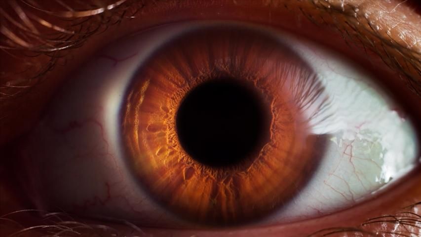 Human Eye Iris Opening Pupil Stock Footage Video - Human Eye Iris Opening Pupil Stock Footage Video -   beauty Eyes iris
