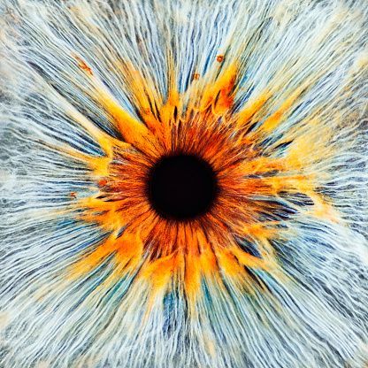Macro shot of human eye, iris and pupil - Macro shot of human eye, iris and pupil -   13 beauty Eyes iris ideas