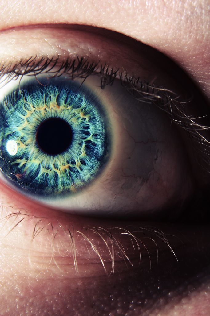 13 beauty Eyes iris ideas