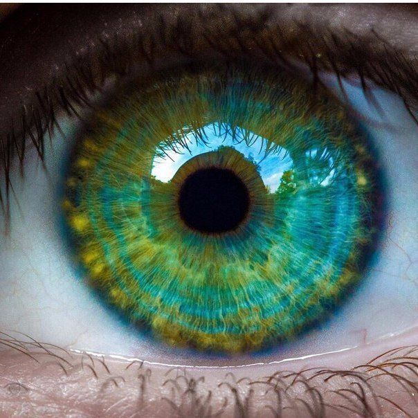 13 beauty Eyes iris ideas