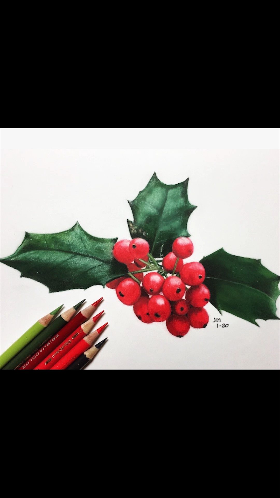 Colored Pencil Tutorial Preview // Holly Berries - Colored Pencil Tutorial Preview // Holly Berries -   16 beauty Drawings of flowers ideas