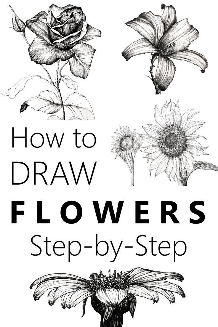 how to draw flowers step-by-step - how to draw flowers step-by-step -   16 beauty Drawings of flowers ideas
