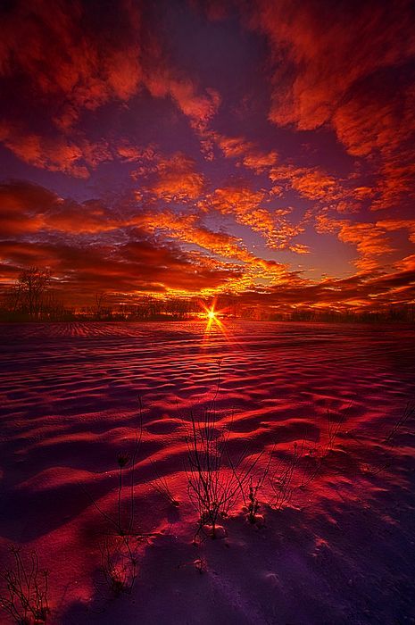 Feeling Good Never Cost A Thing by Phil Koch - Feeling Good Never Cost A Thing by Phil Koch -   16 beauty Pictures of heaven ideas