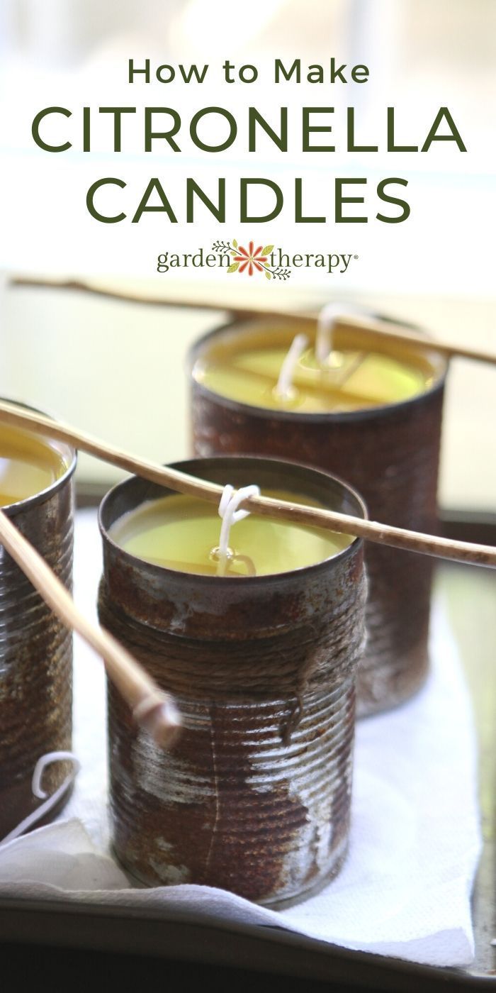 How to Make Citronella Candles - How to Make Citronella Candles -   16 diy Interieur kaarsen ideas